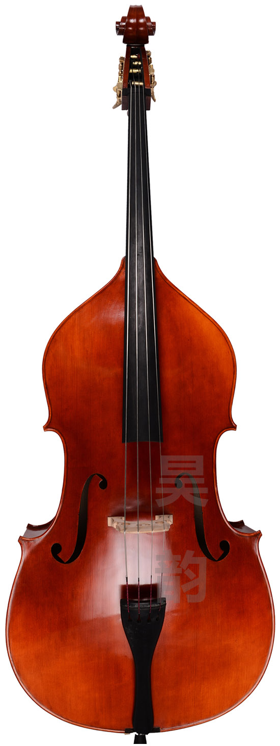 低音提琴面板